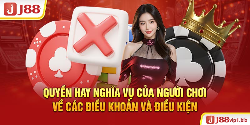 Quyền Hay Nghĩa Vụ Của Người Chơi Về Các Điều Khoản Và Điều Kiện